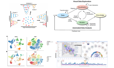 Visual Analytics